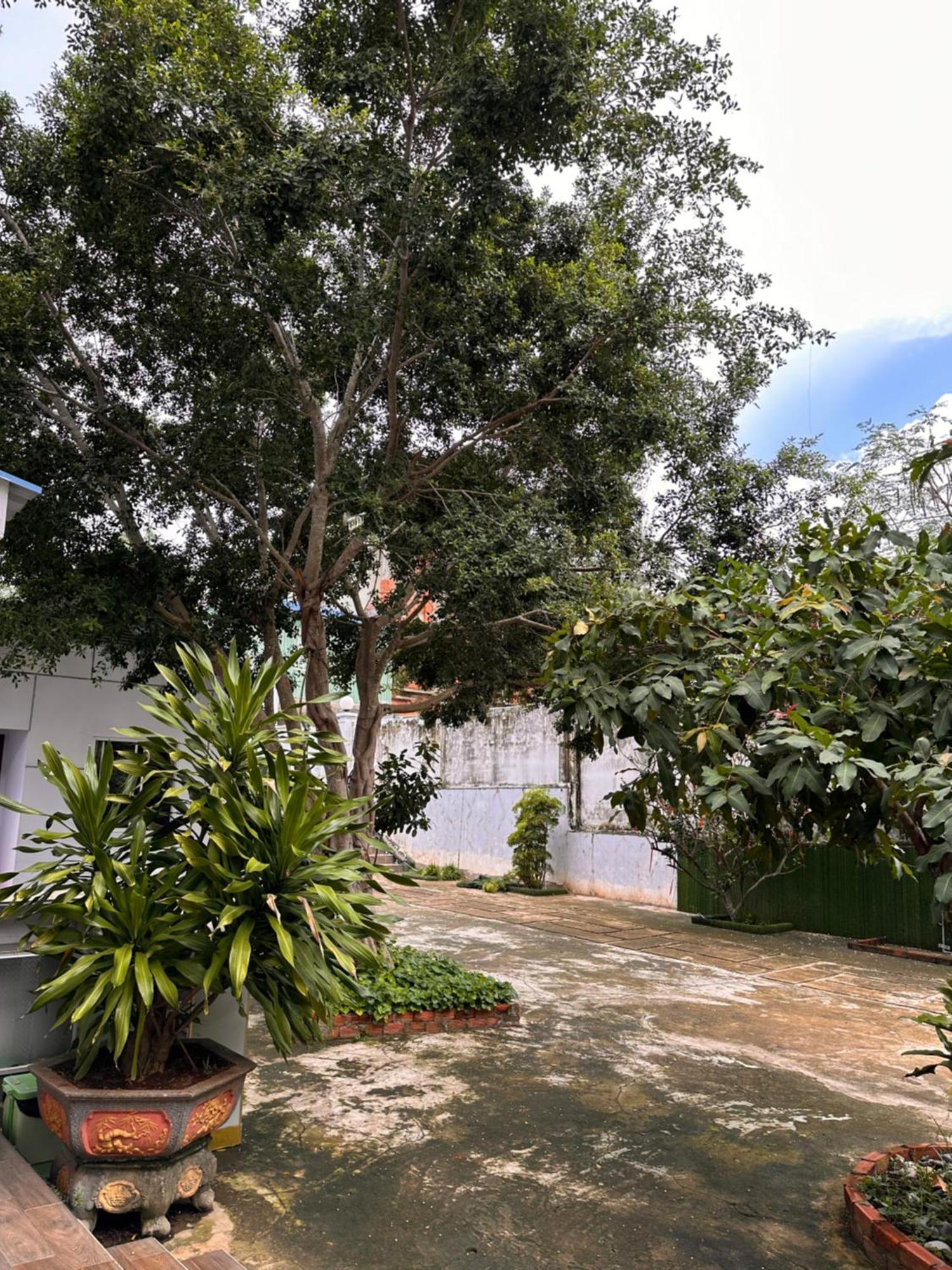 Bungalow Hotel Chi Khu Co Ong المظهر الخارجي الصورة